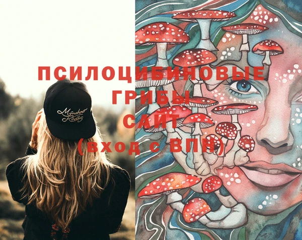 стаф Балабаново
