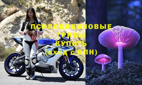 стаф Балабаново