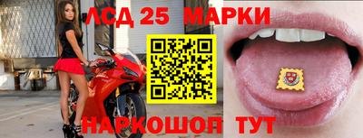 крисы Берёзовский