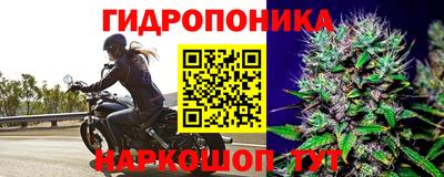каннабис Кимры