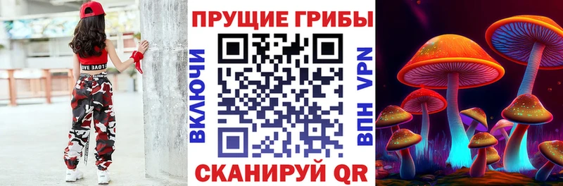 Псилоцибиновые грибы Cubensis  где можно купить наркотик  гидра   Заинск 