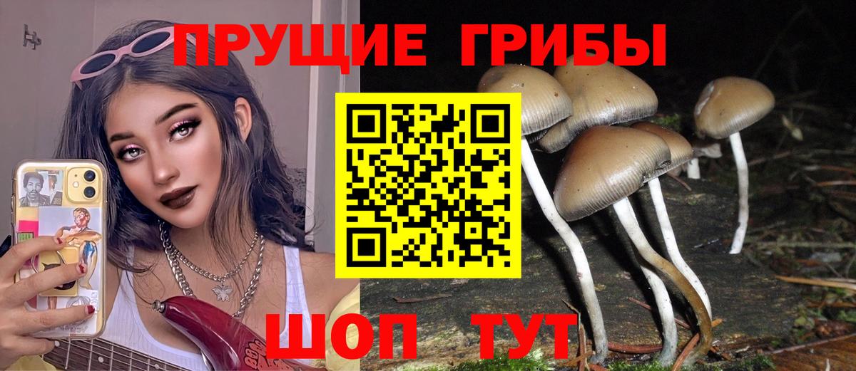 Псилоцибиновые грибы мицелий  Вход с VPN  как найти наркотики  Заинск 