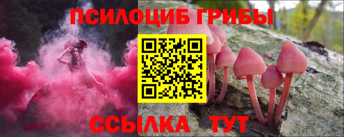 Псилоцибиновые грибы мицелий  Заинск 