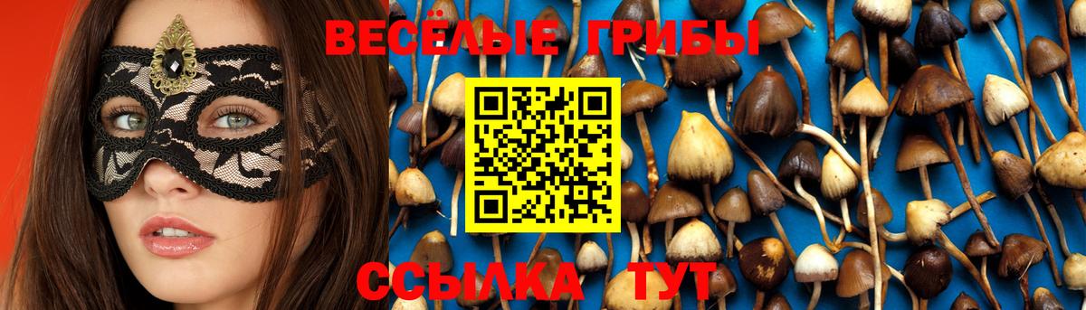 Псилоцибиновые грибы Magic Shrooms Заинск