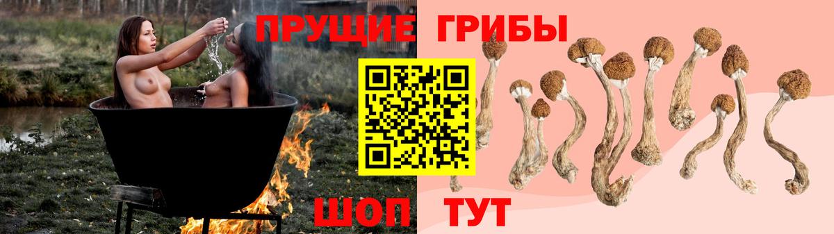 Псилоцибиновые грибы Cubensis Заинск